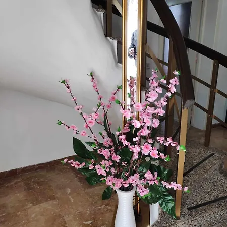 Apartamento Cuore Salento Carmiano (Apulia)